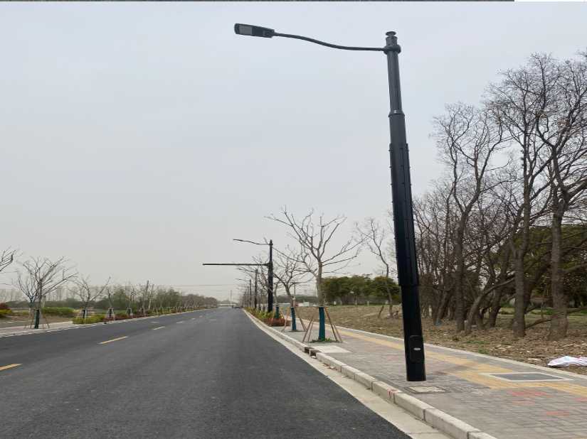 大箐山县上海综合杆 太阳能路灯工程